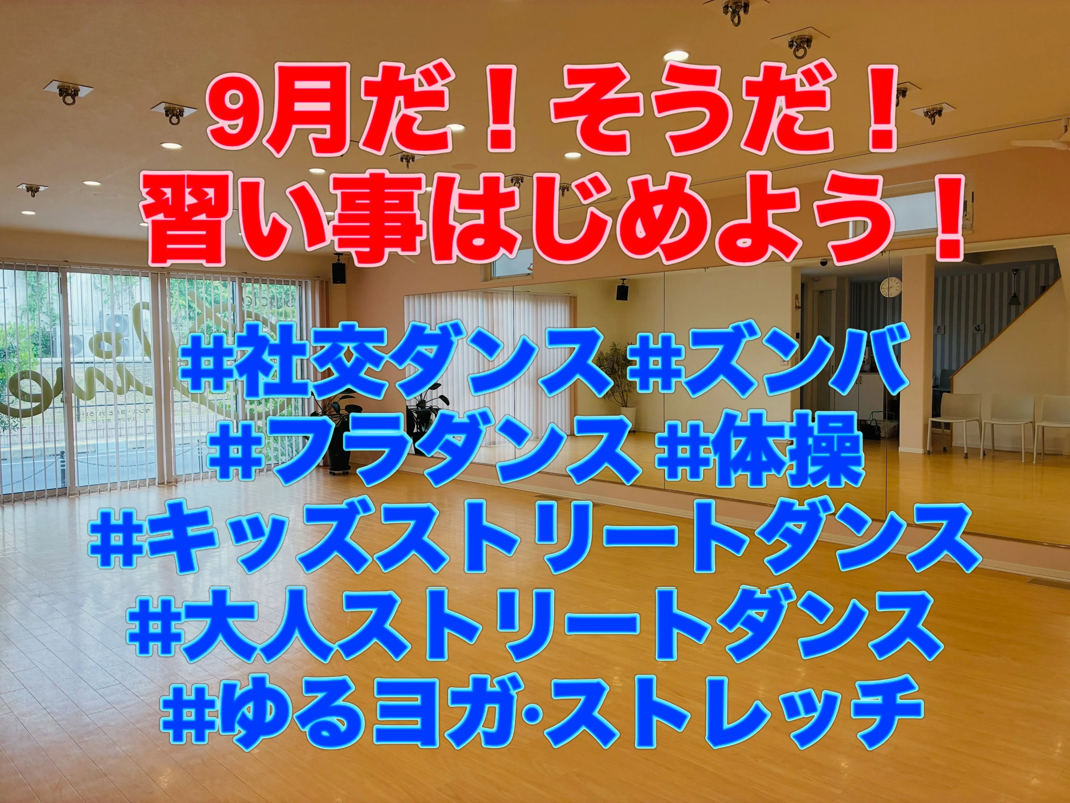 もうすぐ9月に入りますね!日中の熱波も和らいできました。
