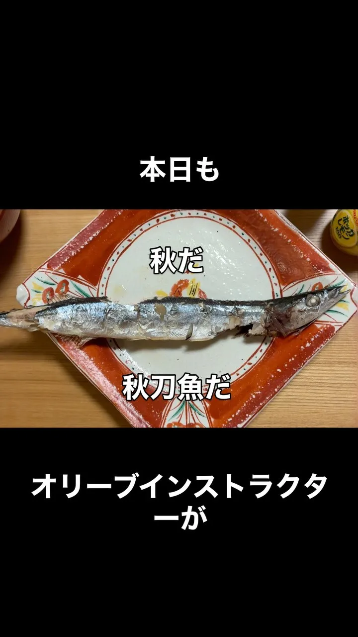 本日もオリーブインストラクター(定時利用)が増えましたー❣️...