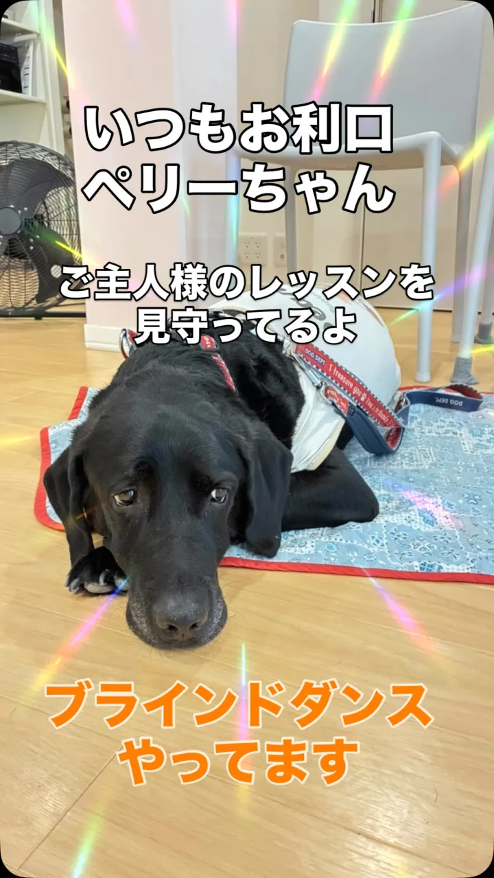 社交ダンス、ブラインドダンスやってます💃
